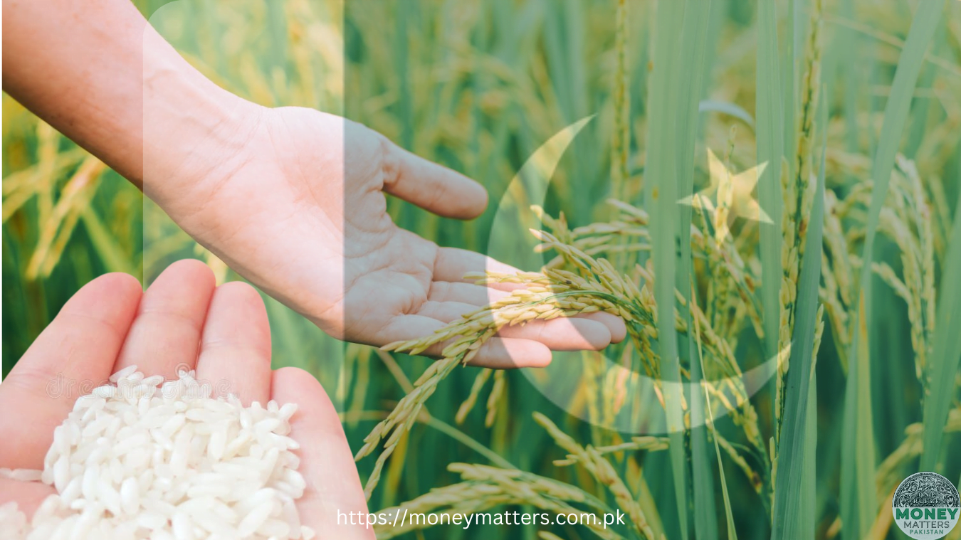 Agriculture Alone Won't Secure Pakistan’s Future