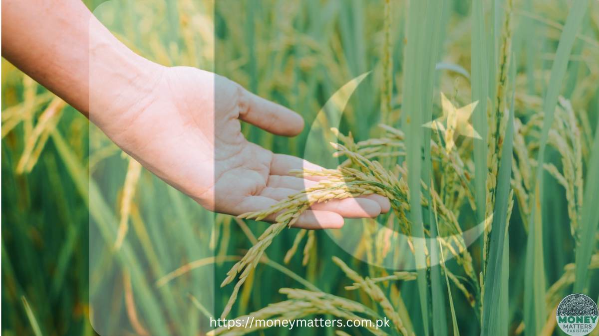 IMF asks for 45% tax on agriculture